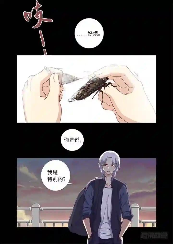 441.曾经 第8页