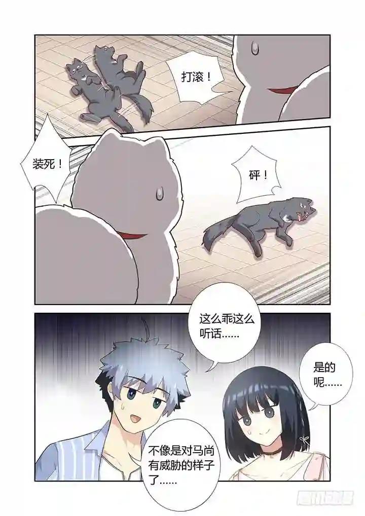 399.狗与狗 第13页