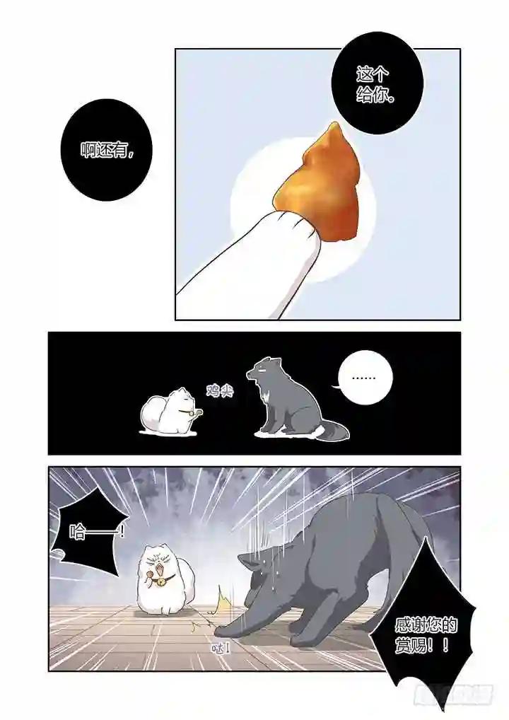401.桌下 第13页