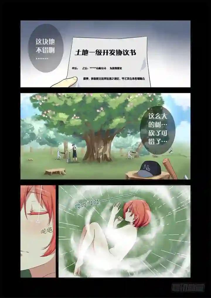 15.合欢林 第2页