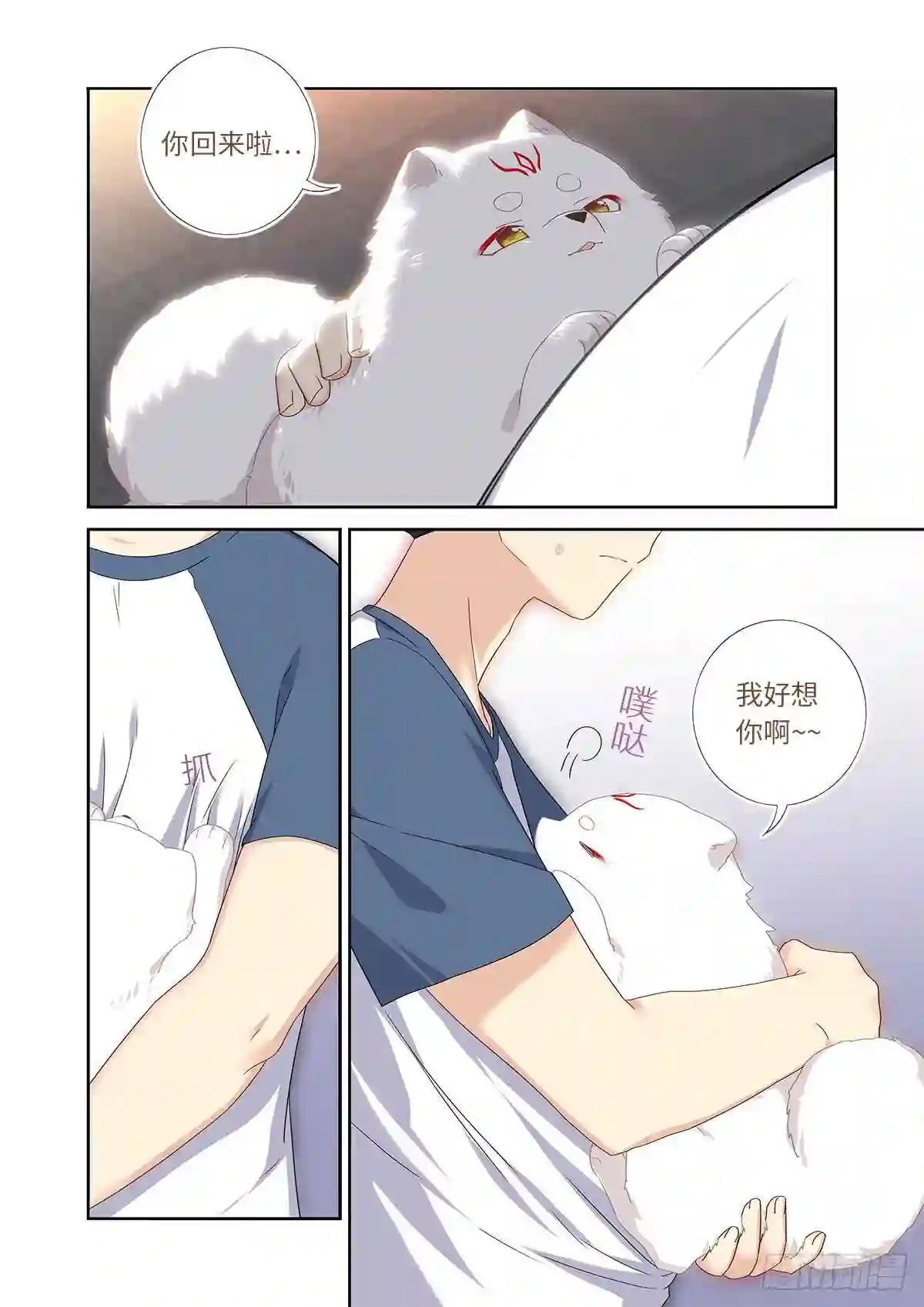485.换回 第6页