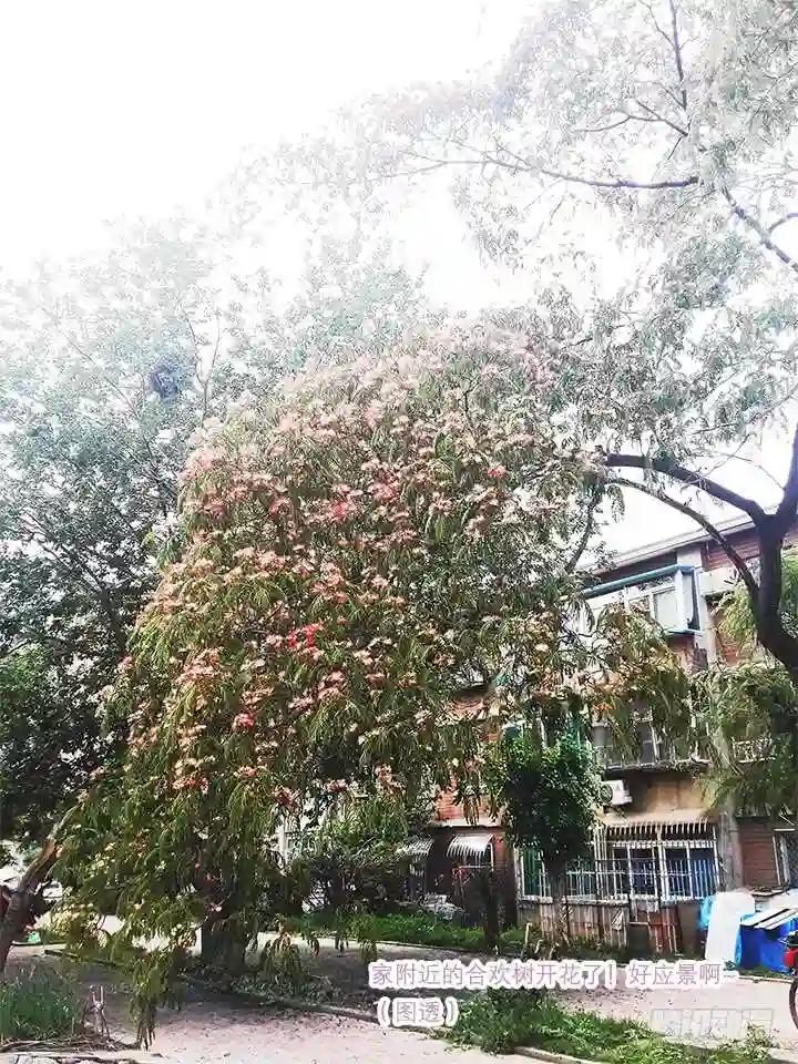 18.事件升级 第13页