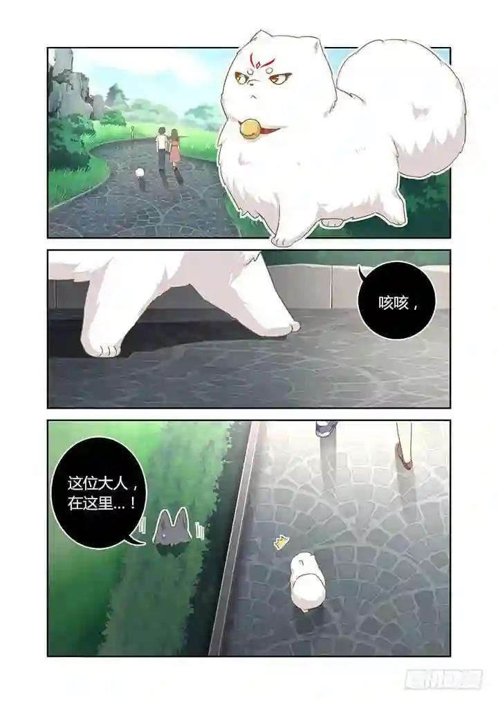 404.名犬 第6页