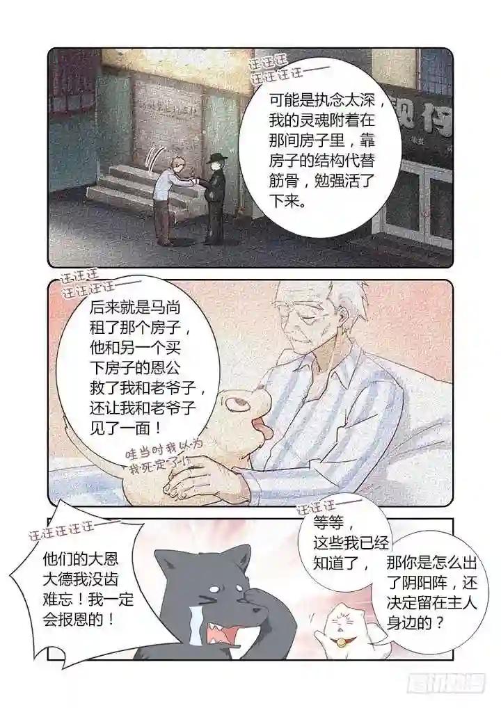 404.名犬 第10页
