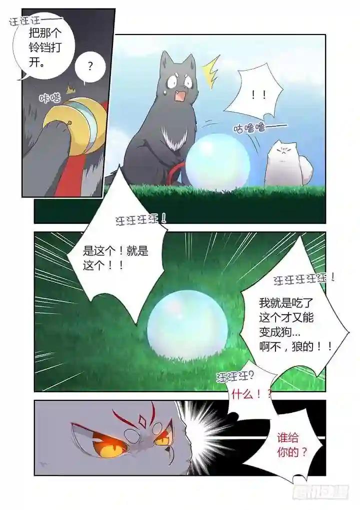 404.名犬 第12页