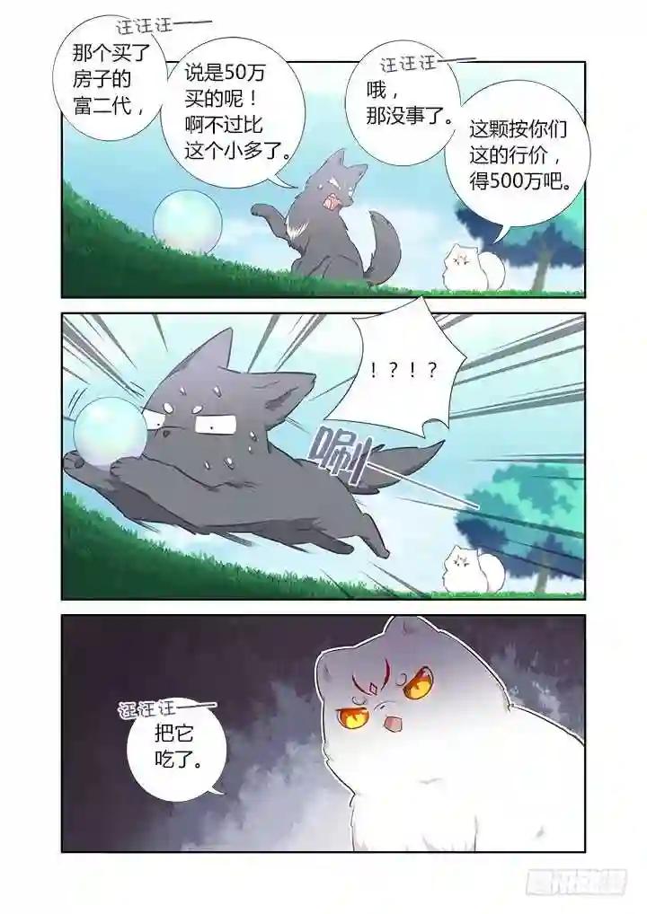 404.名犬 第13页