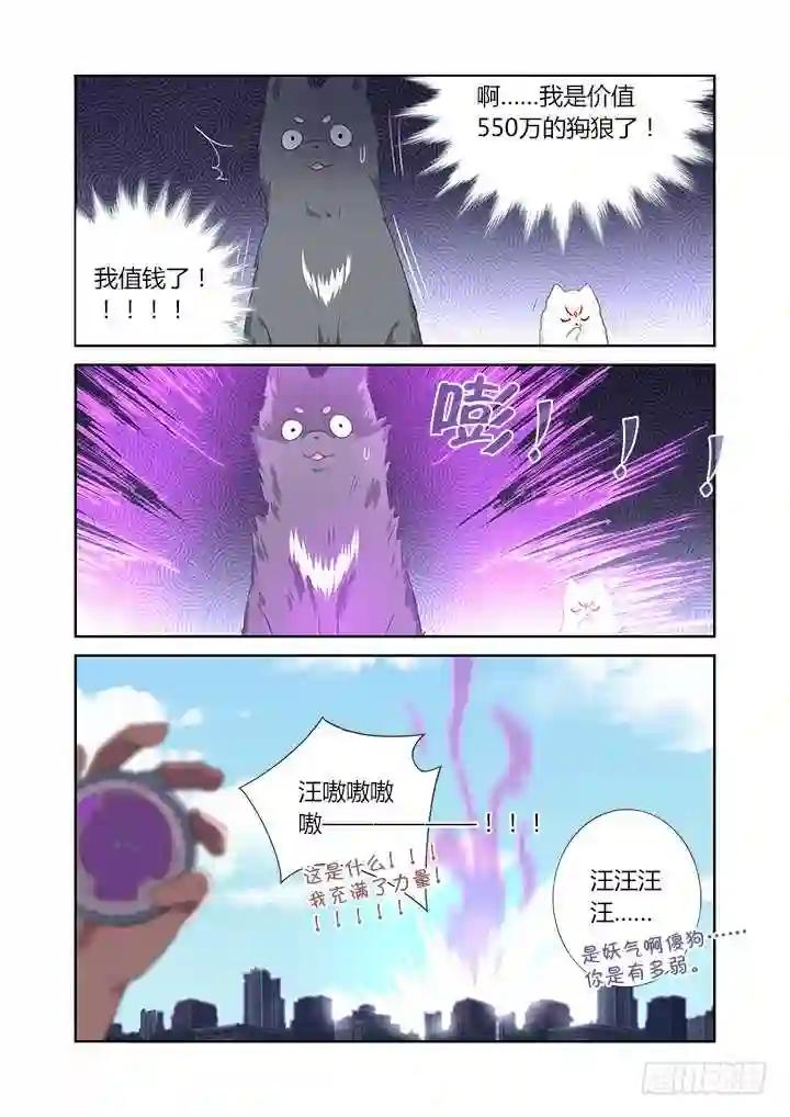 404.名犬 第15页