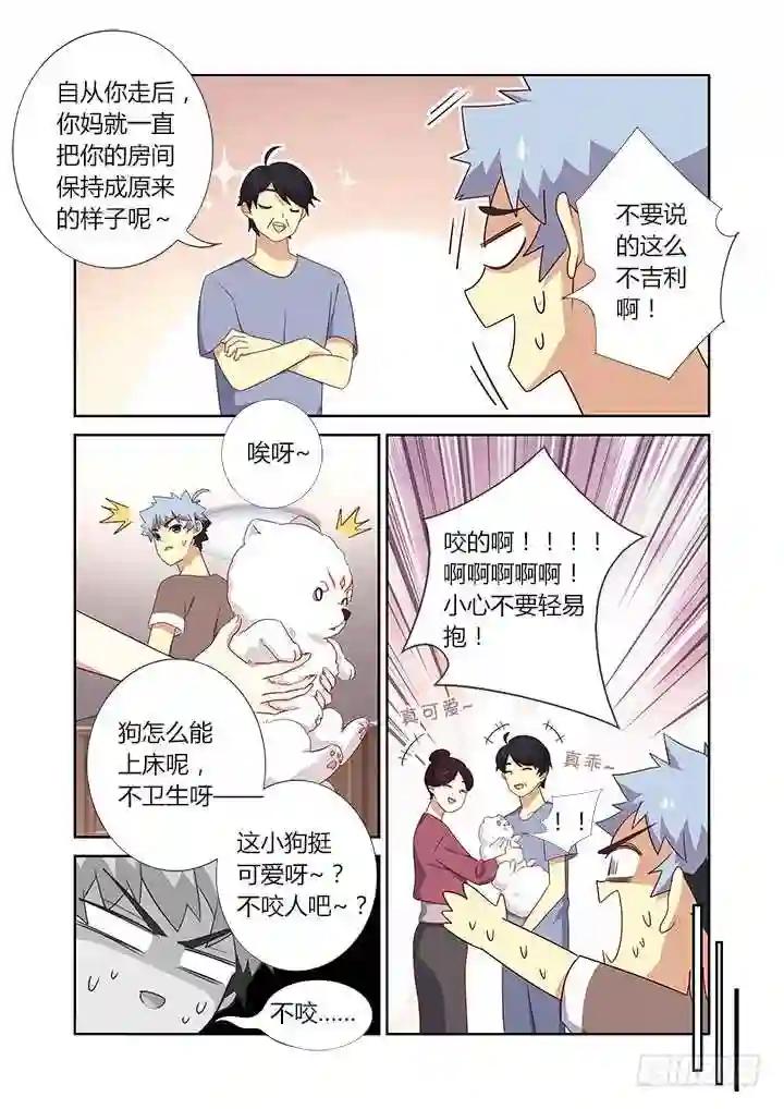 384.怎样养狗 第3页