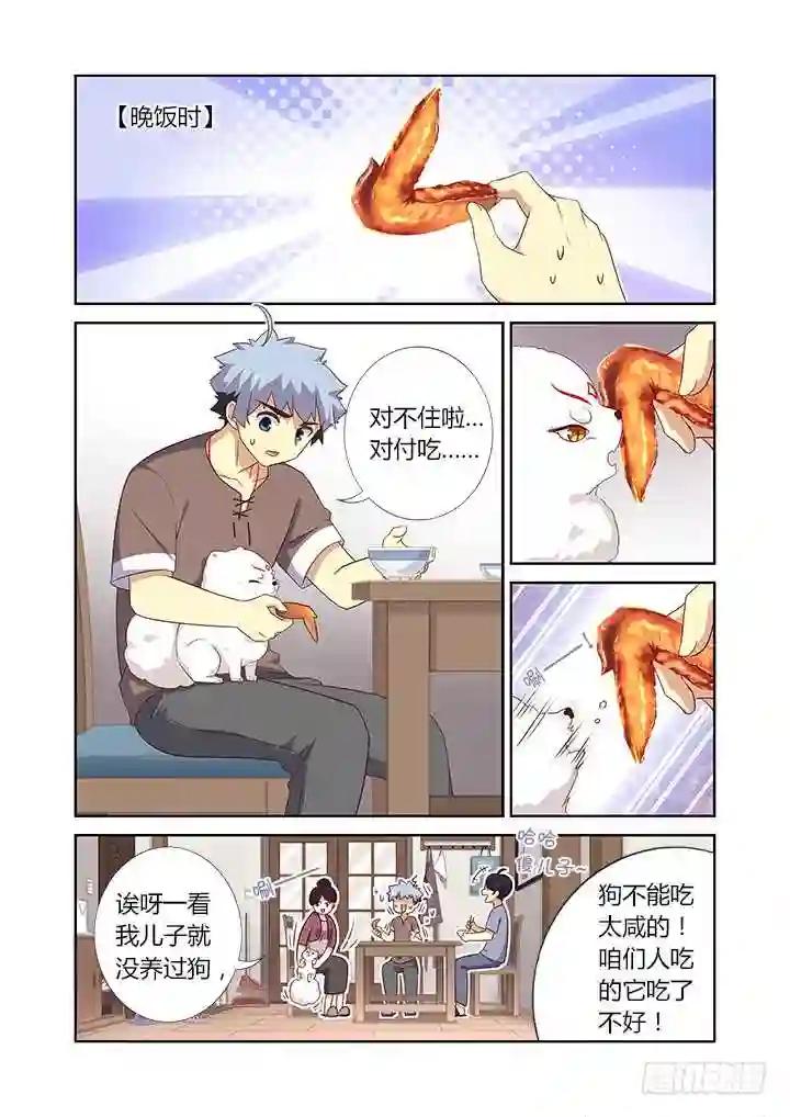 384.怎样养狗 第4页