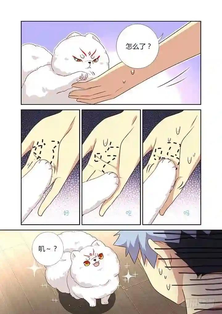 384.怎样养狗 第7页