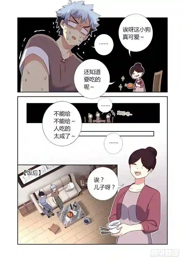 384.怎样养狗 第8页