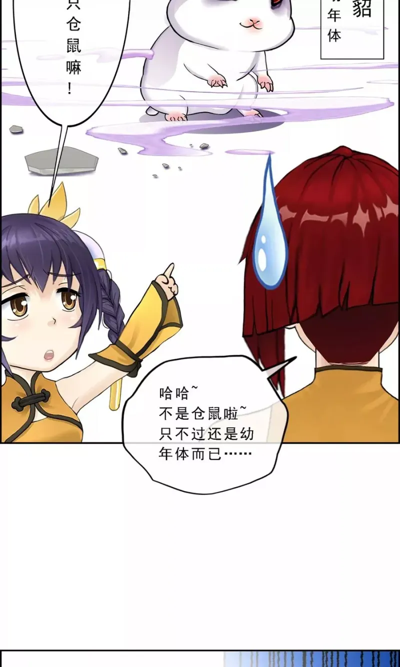 第19话 紫云貂 第27页