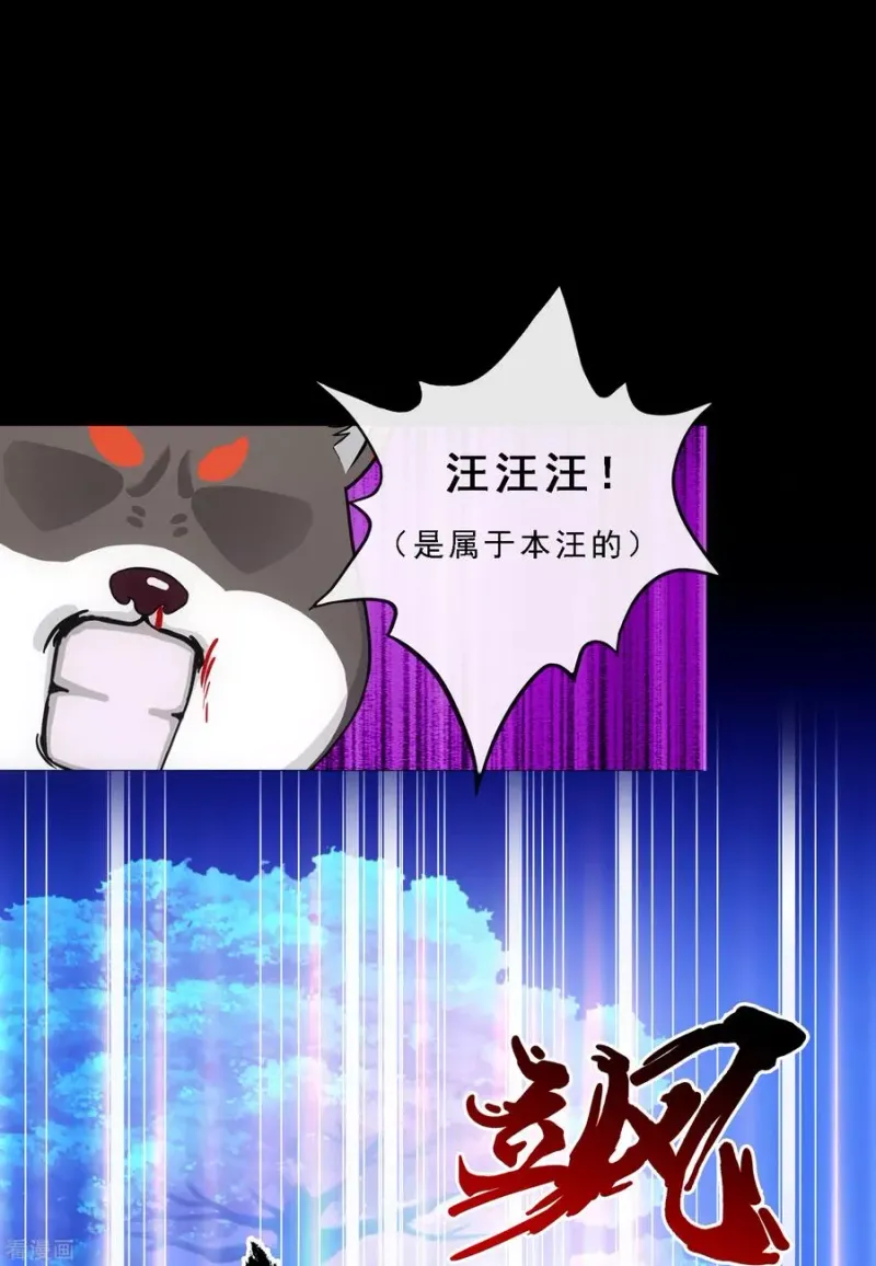 第231话 神尊的解离术 第12页