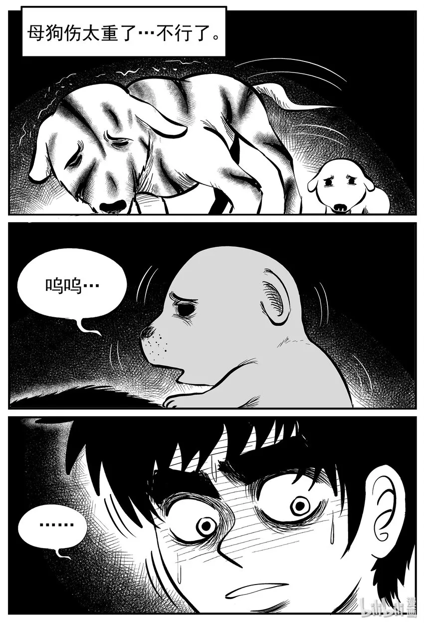 010 它3（2） 第21页