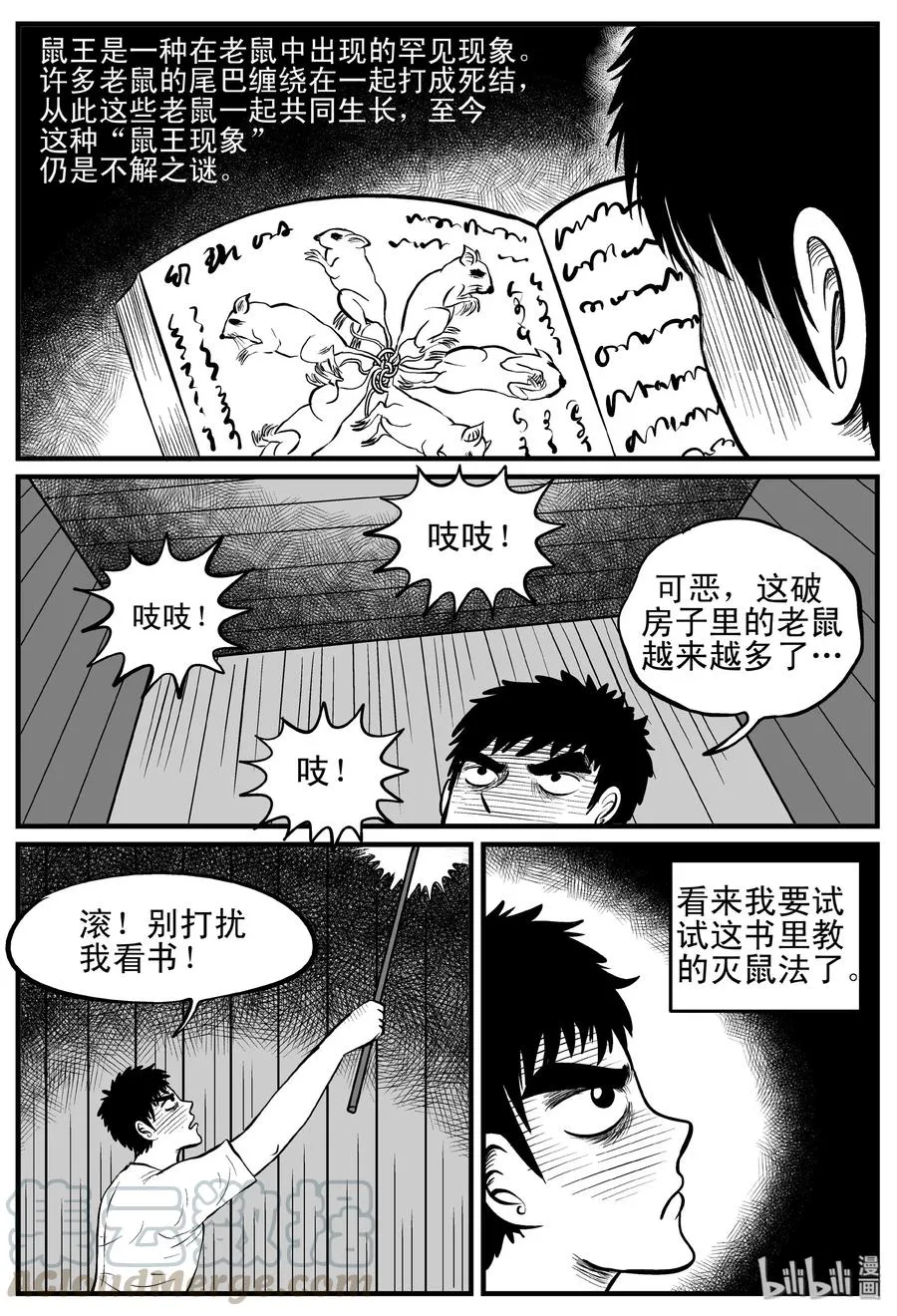 117 网+鼠王 第25页