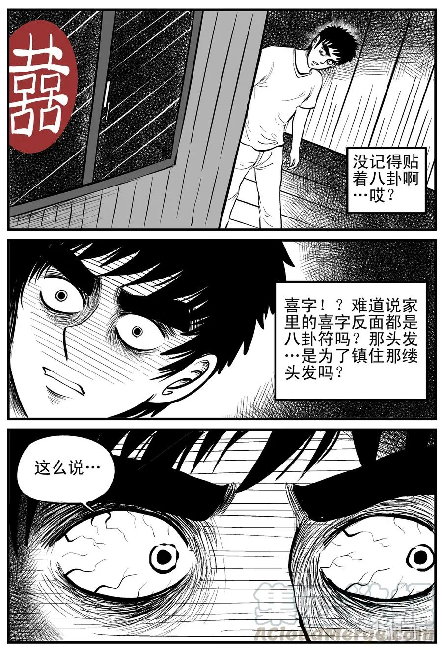 118 鹦鹉+囍 第19页