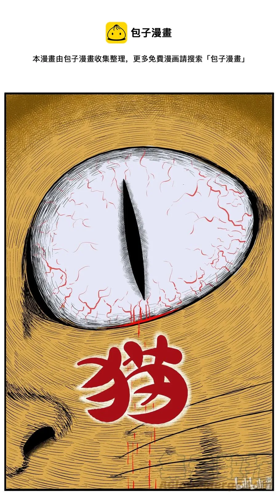 163 猫 第1页