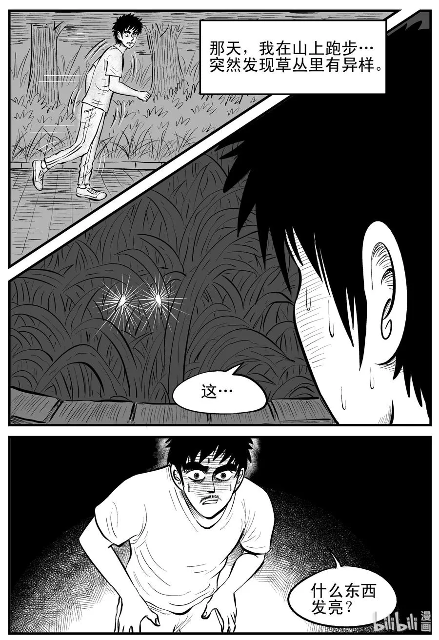 163 猫 第2页