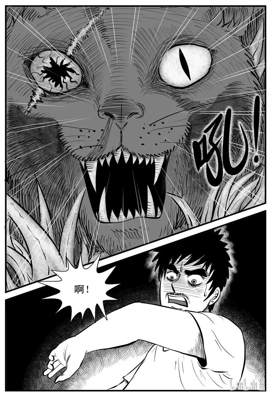 163 猫 第3页