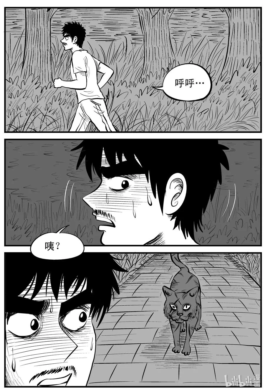 163 猫 第5页