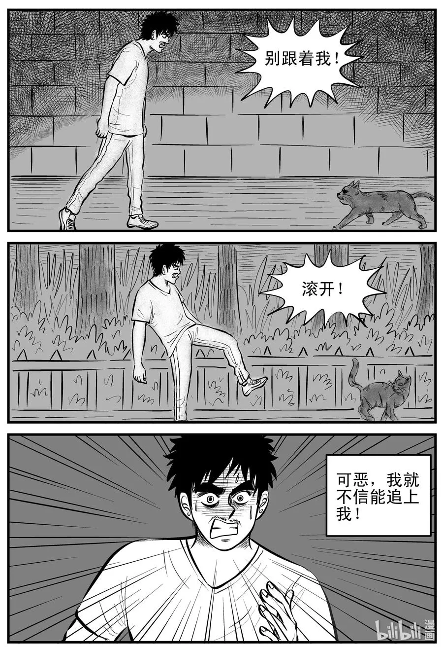 163 猫 第6页