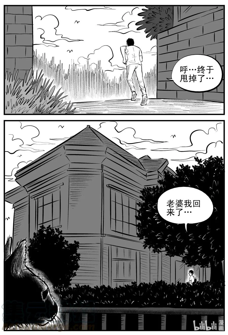 163 猫 第7页