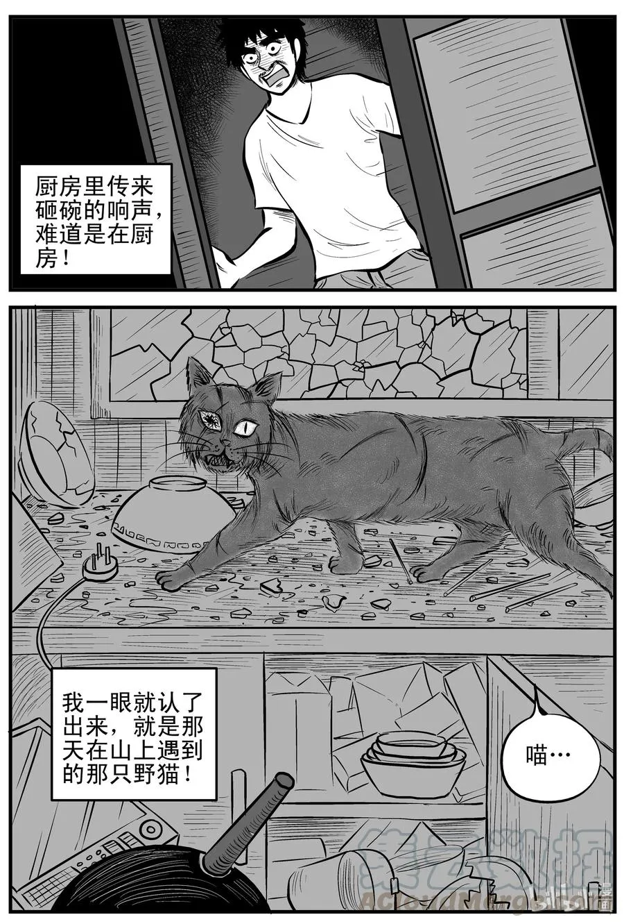 163 猫 第10页