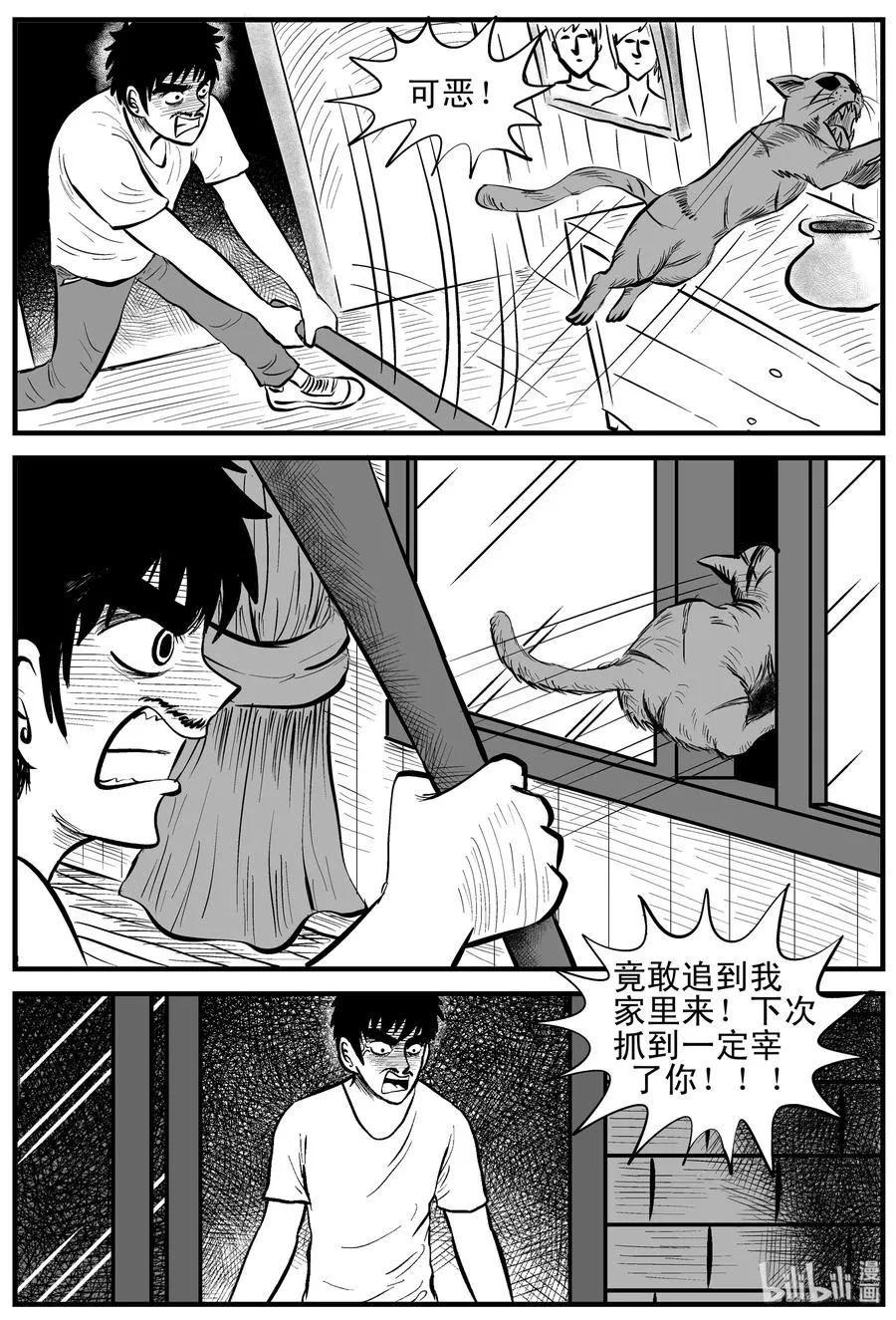 163 猫 第11页