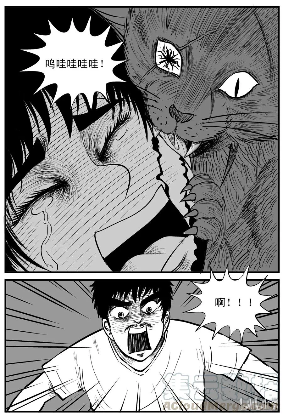 163 猫 第13页