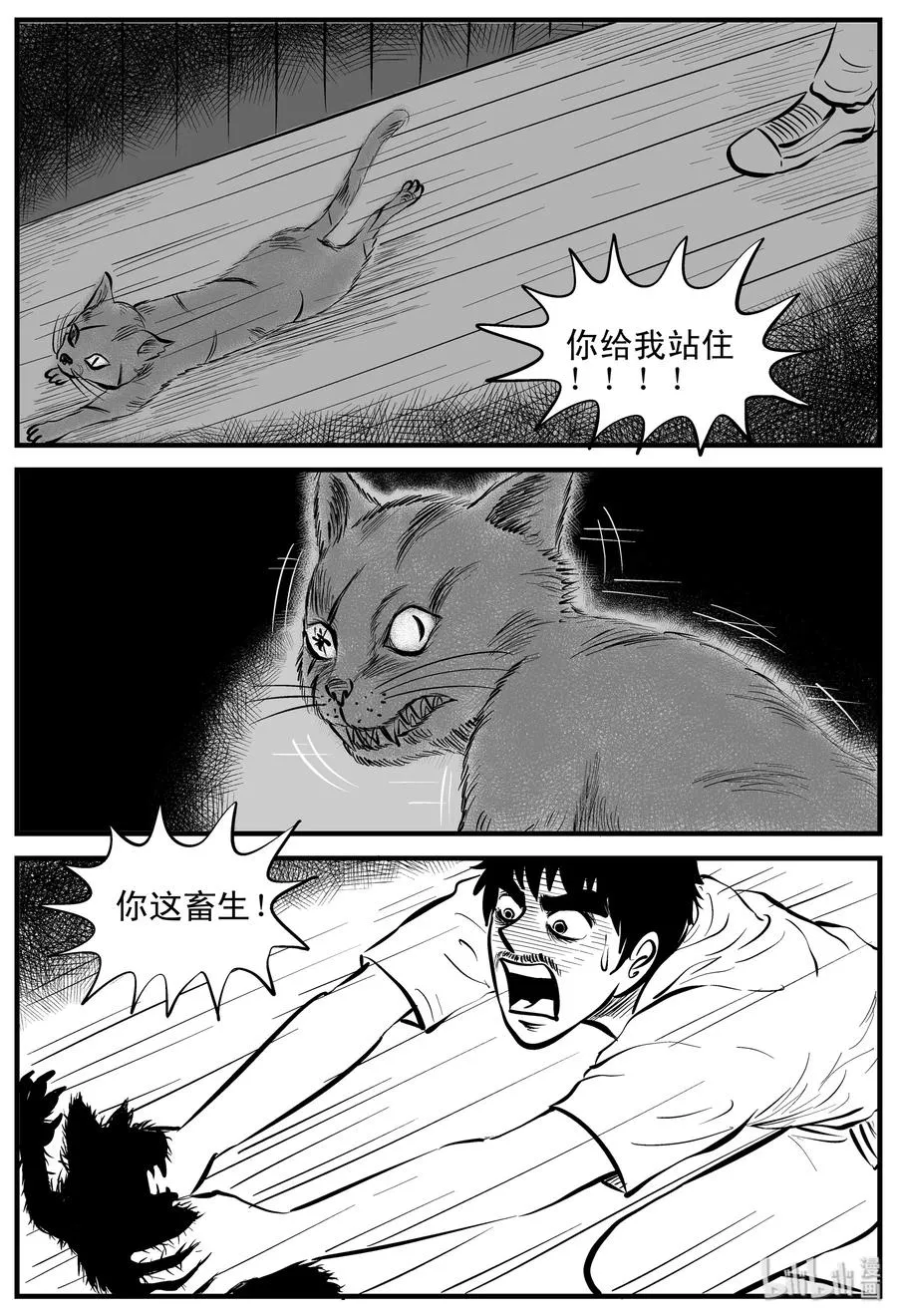 163 猫 第14页