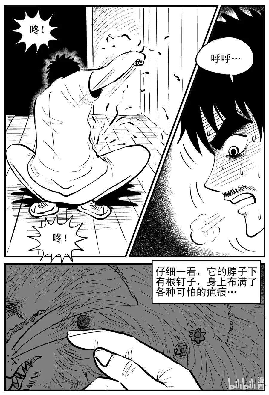 163 猫 第15页