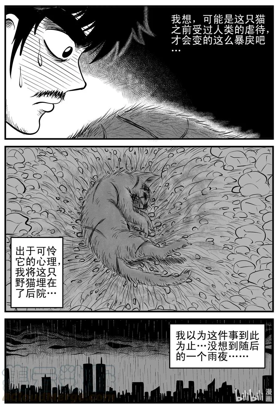 163 猫 第16页