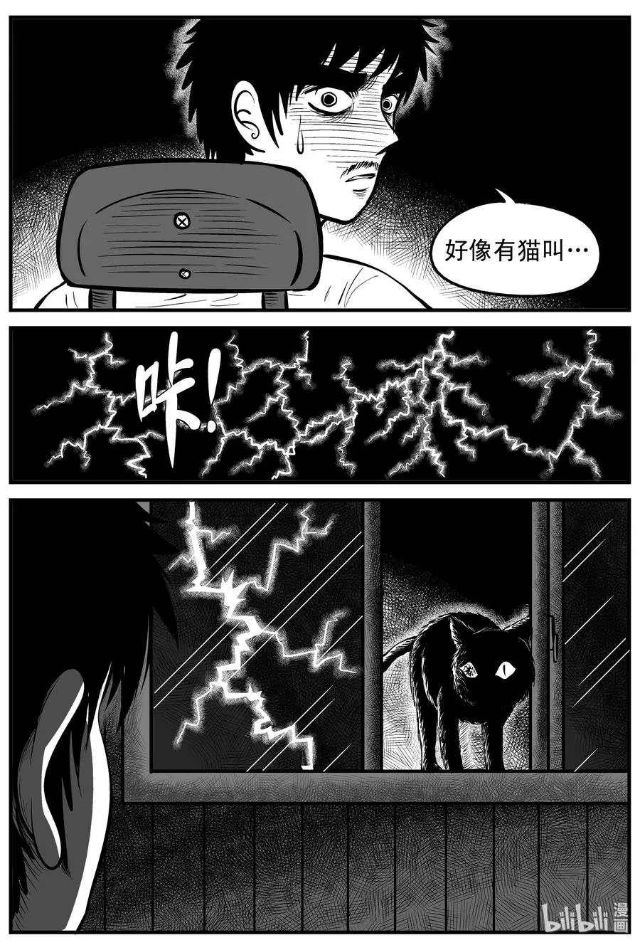 163 猫 第17页