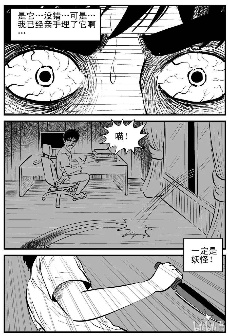 163 猫 第18页