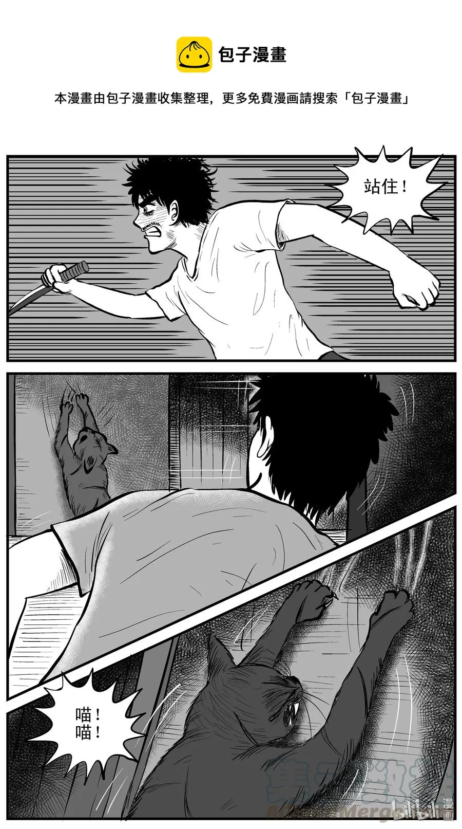 163 猫 第19页