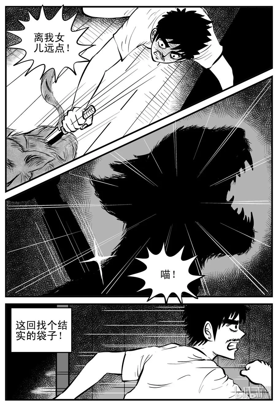 163 猫 第20页