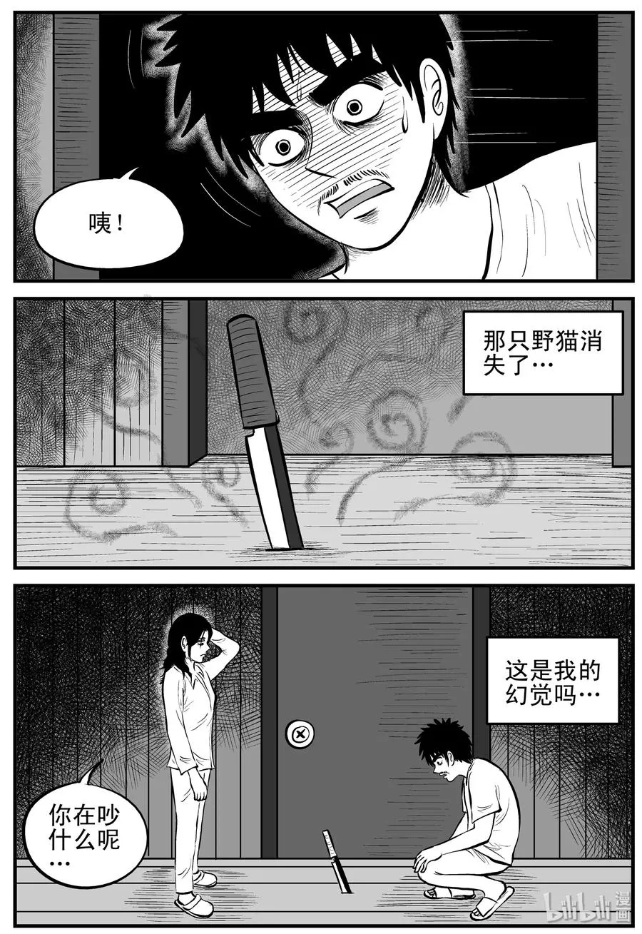 163 猫 第21页