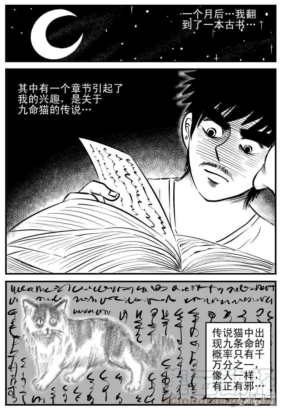 163 猫 第22页