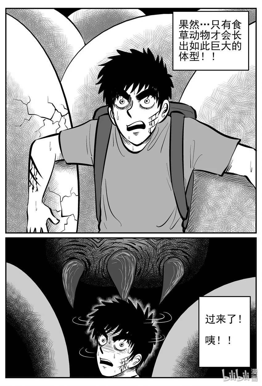 028 它4（12） 第25页
