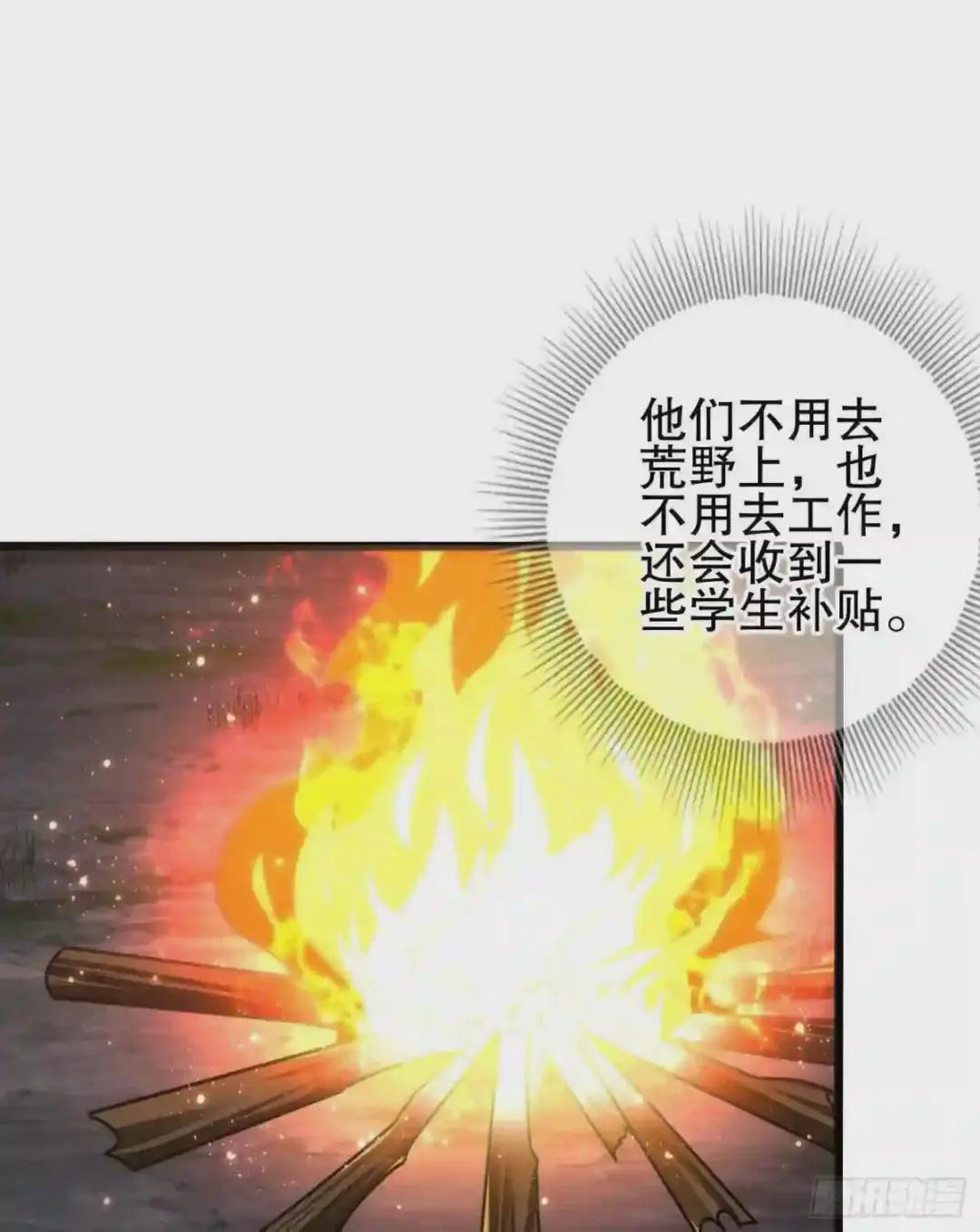 53 野菜 第10页