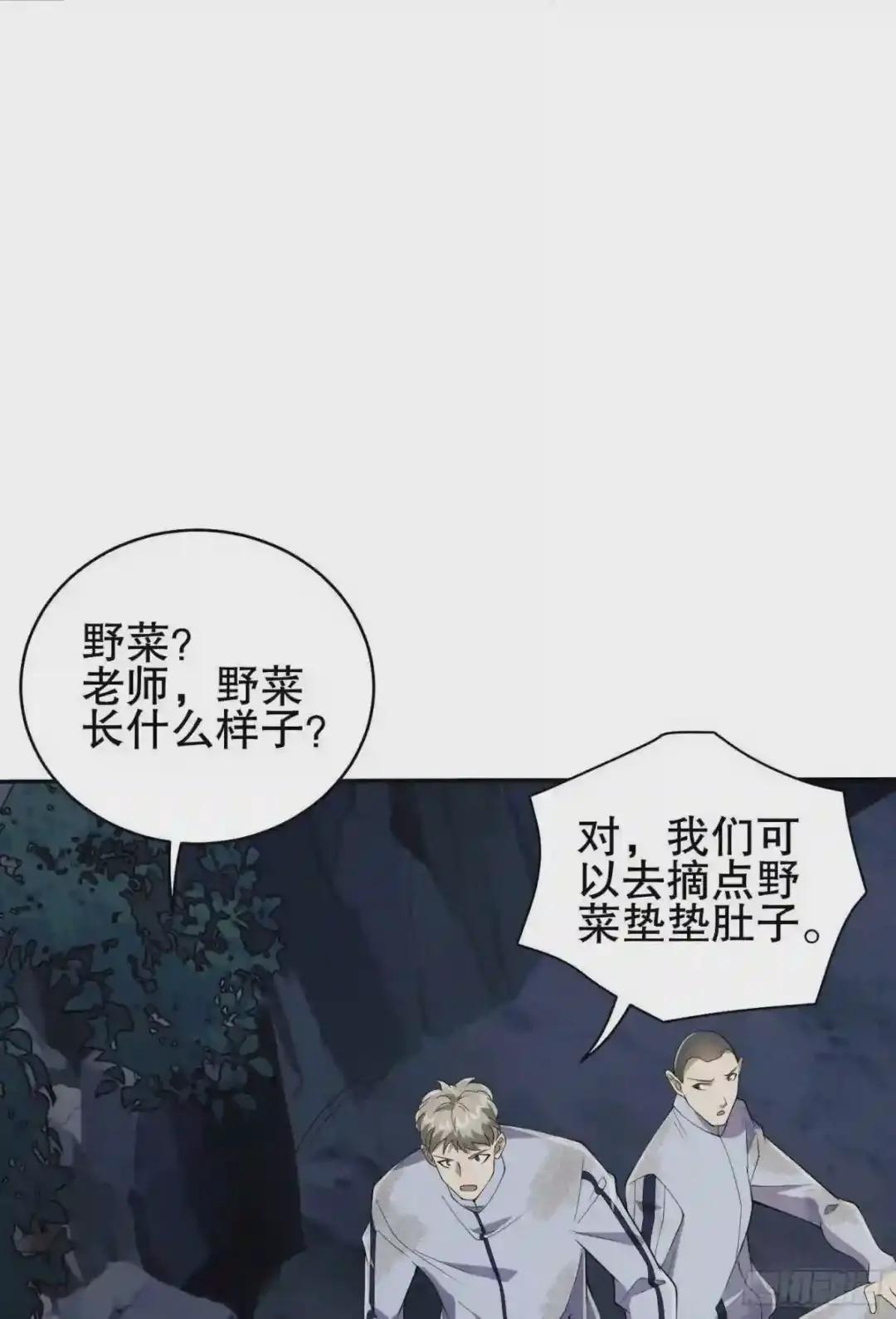 53 野菜 第22页
