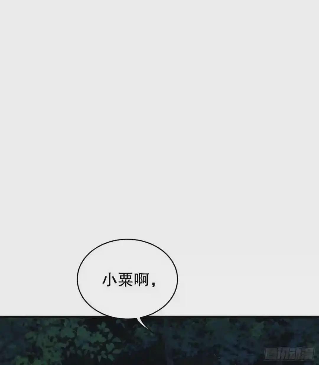 53 野菜 第28页