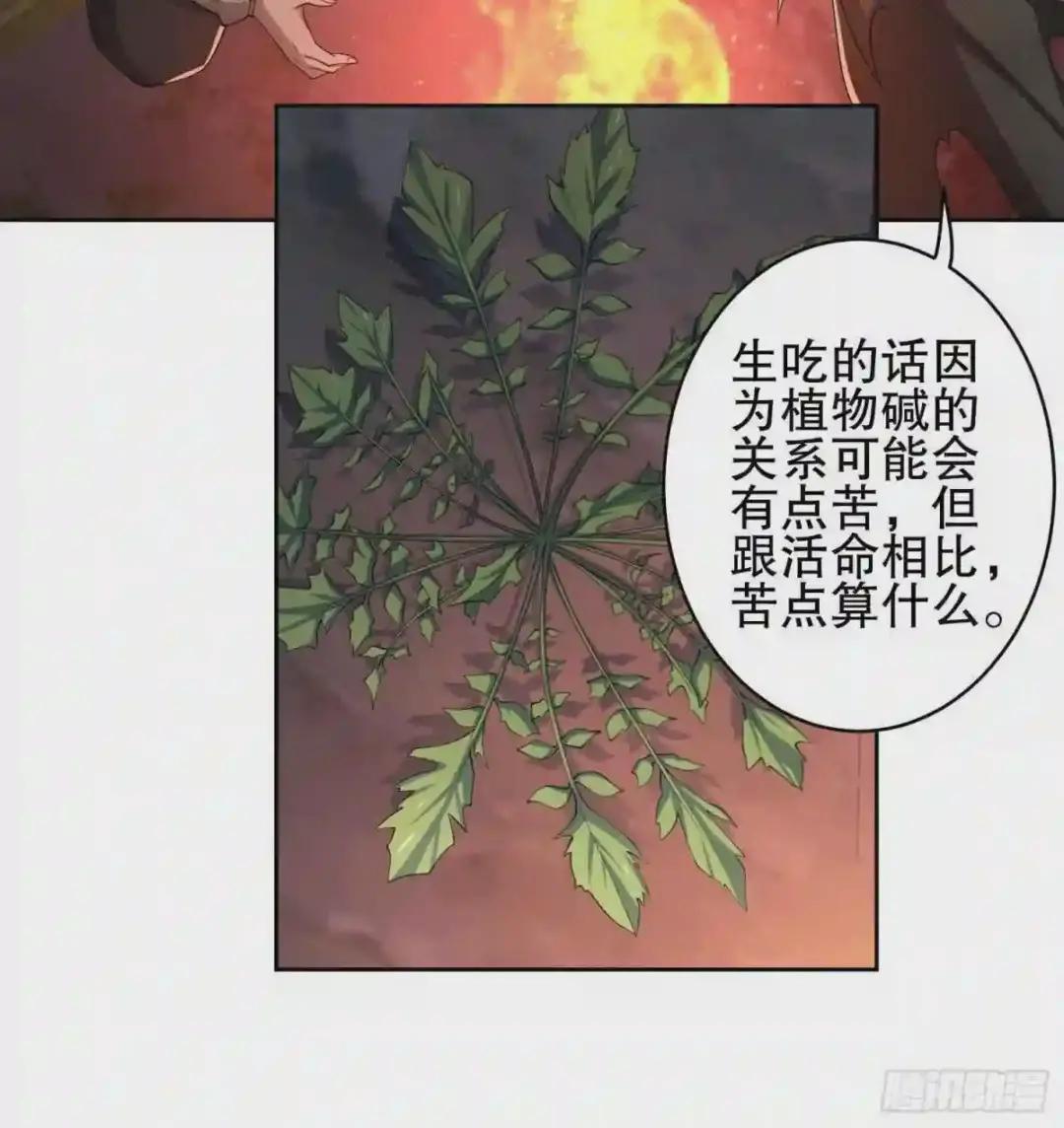 53 野菜 第42页