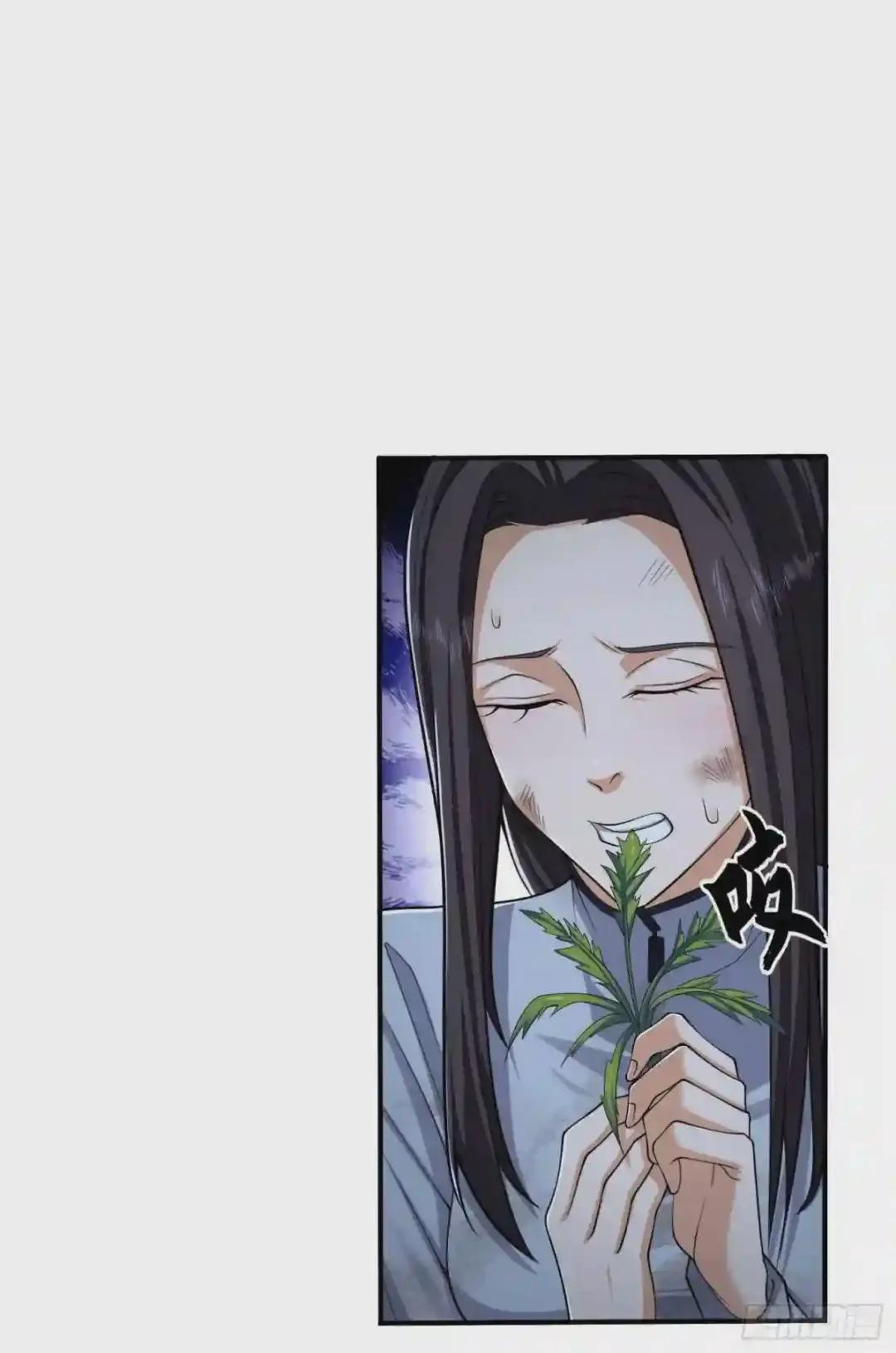 53 野菜 第51页