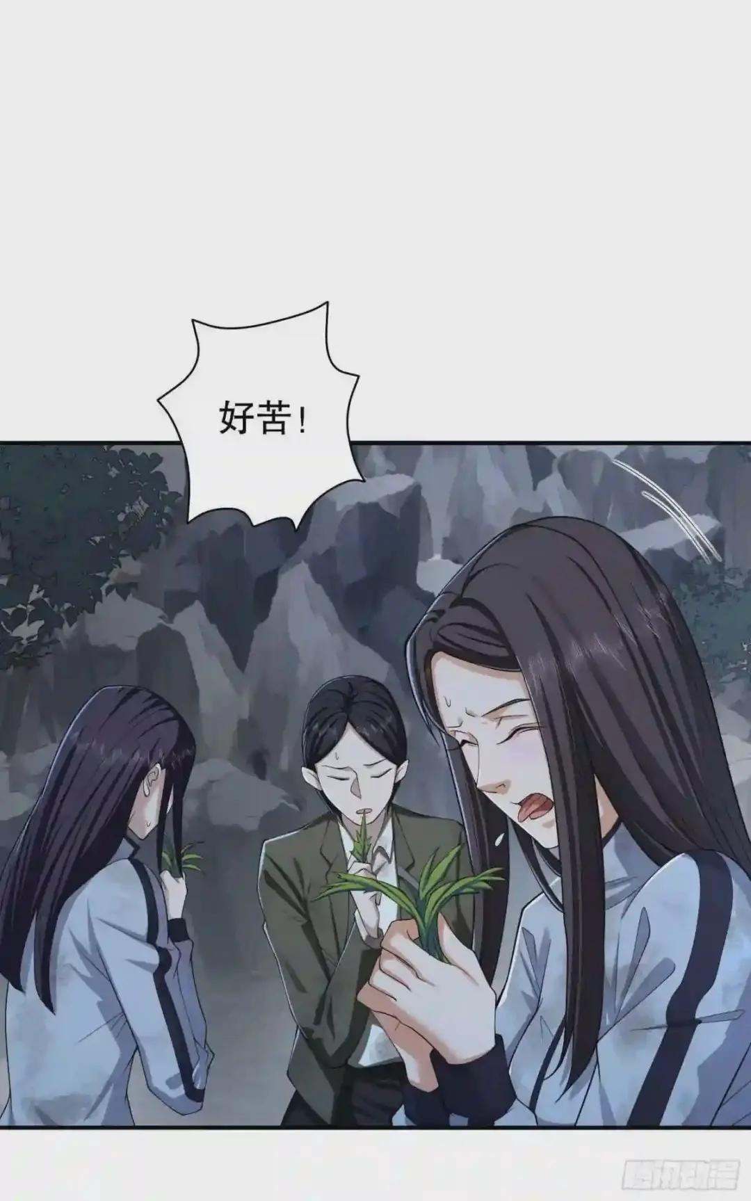 53 野菜 第52页