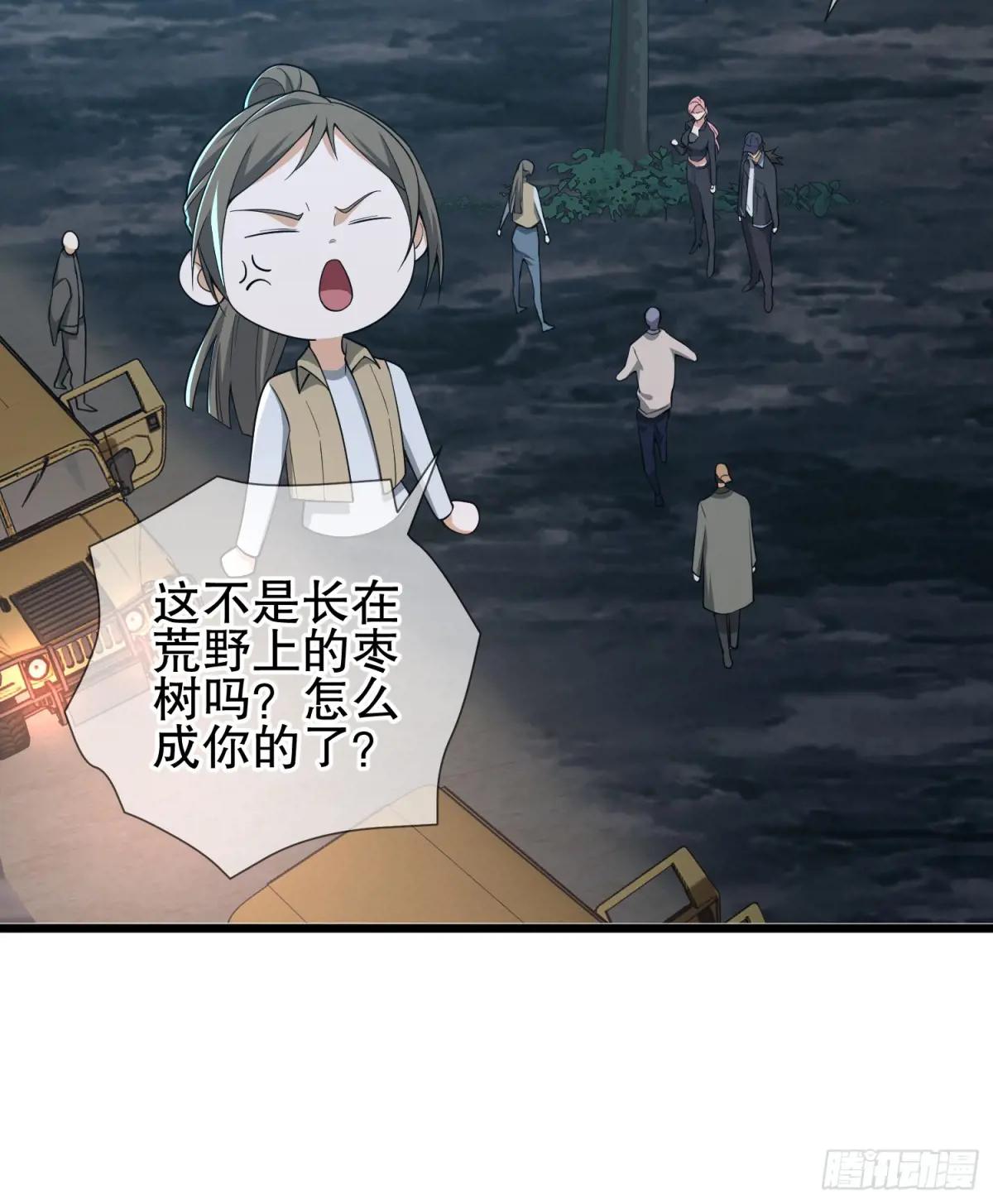 271 植物的能量 第20页