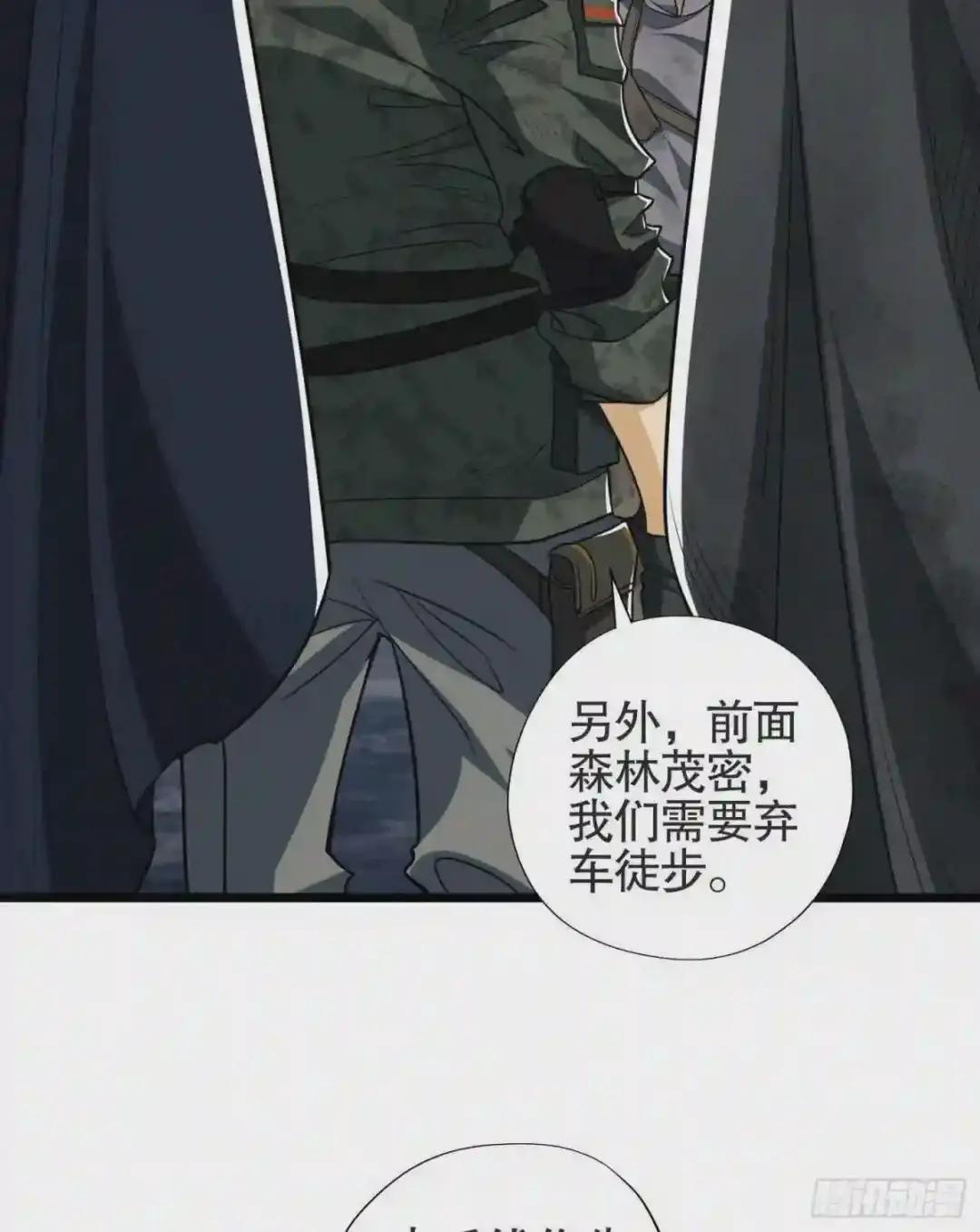 25 猪撞树上了 第15页