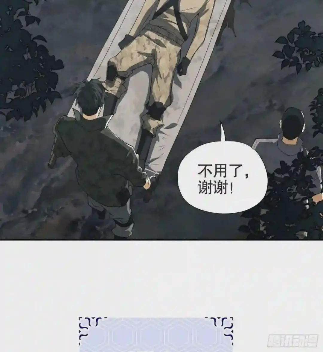 25 猪撞树上了 第26页