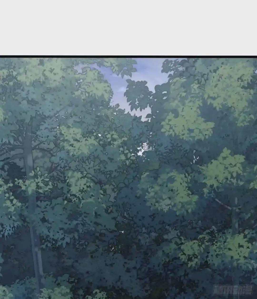 25 猪撞树上了 第32页