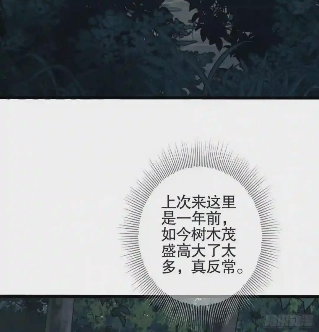 25 猪撞树上了 第34页